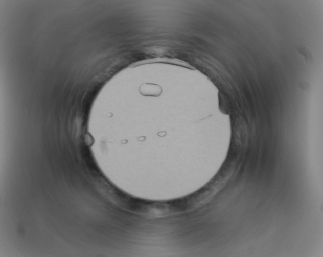 X0000113110420200910091203