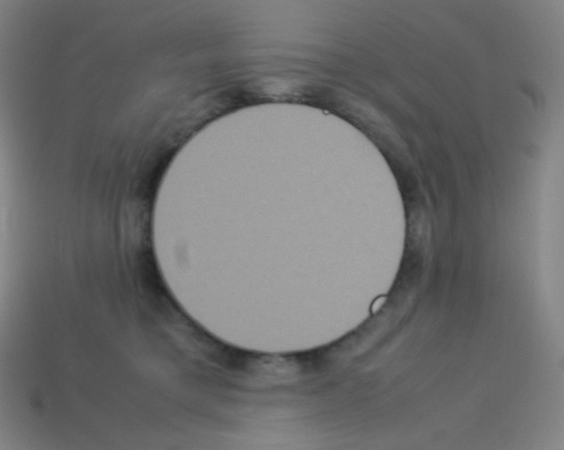 X0000113110421200910091203
