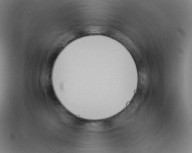 X0000113110422200910091203