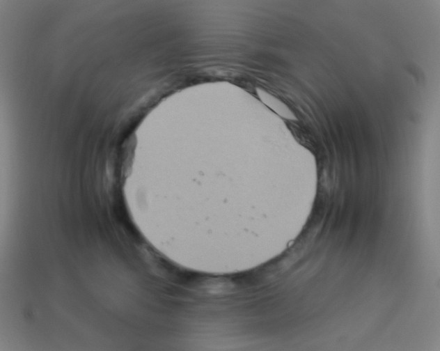 X0000113110424200910091203