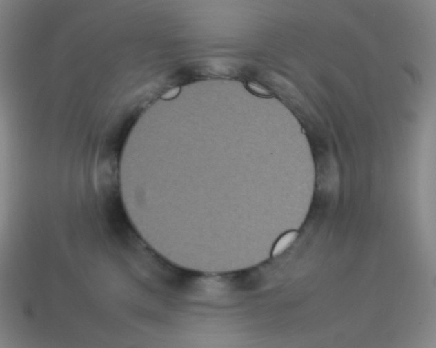 X0000113110425200910091203