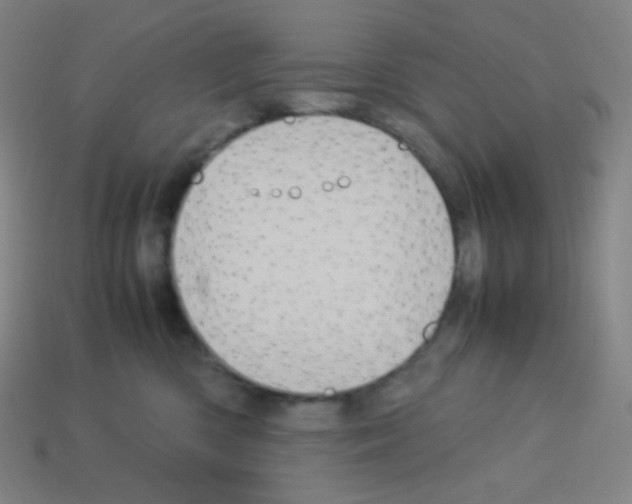 X0000113110426200910091203