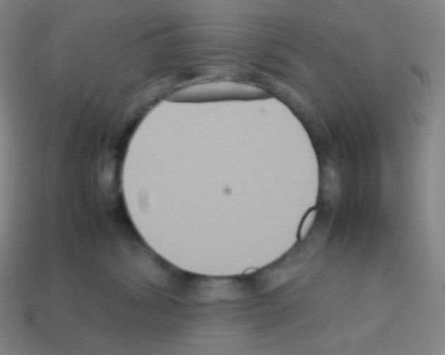 X0000113110428200910091203