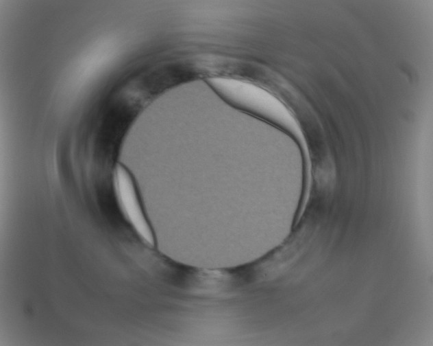 X0000113110429200910091203