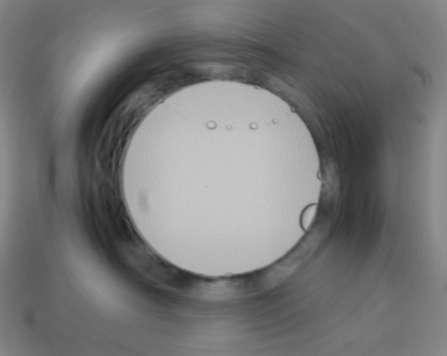 X0000113110430200910091203