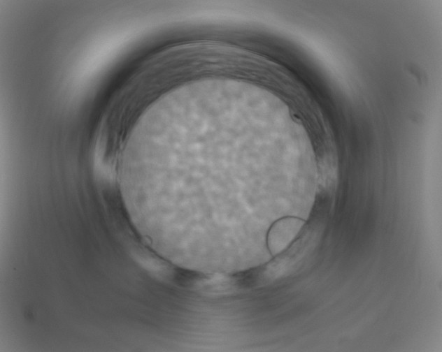 X0000113110431200910091203