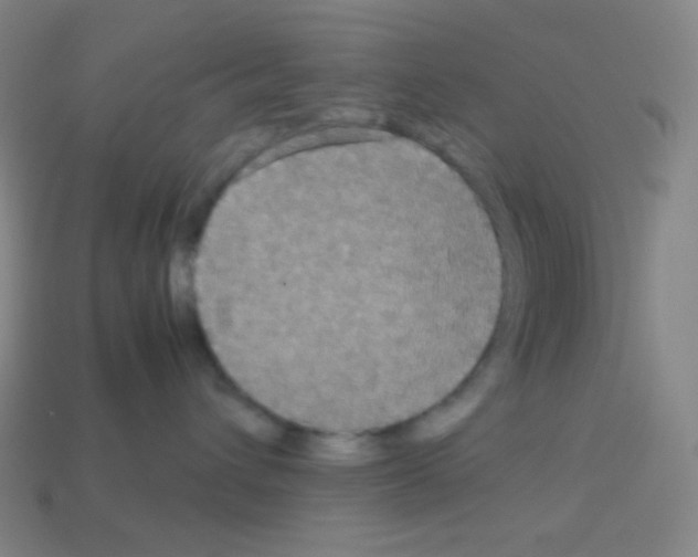 X0000113110432200910091203