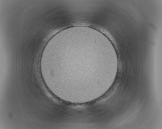 X0000113110433200910091202