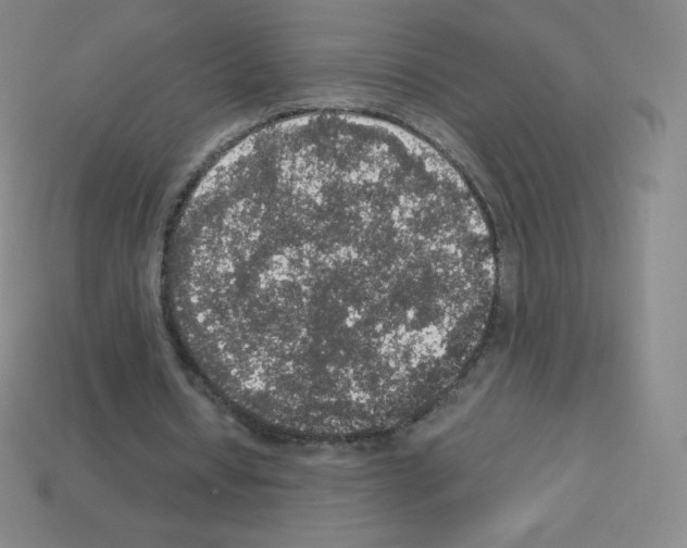 X0000113110434200910091202