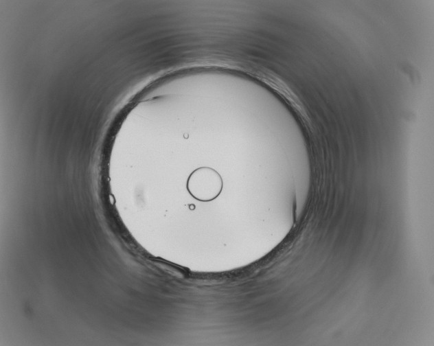 X0000113110436200910091202