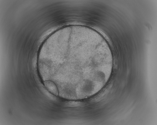 X0000113110437200910091202