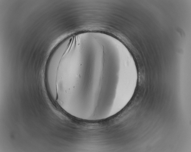 X0000113110438200910091202