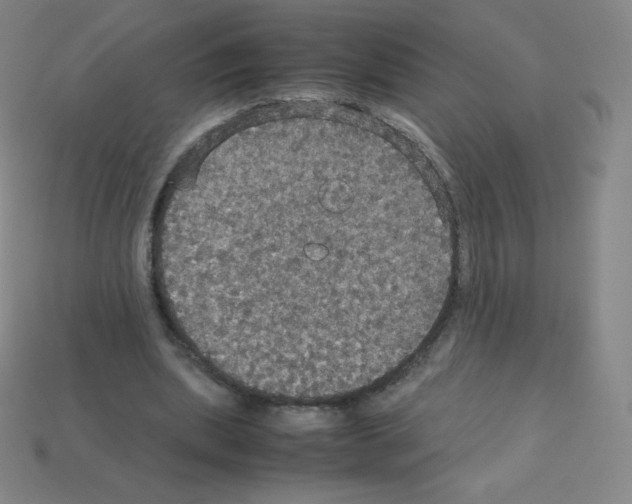 X0000113110439200910091202