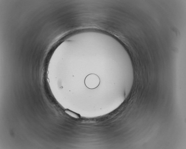 X0000113110440200910091203