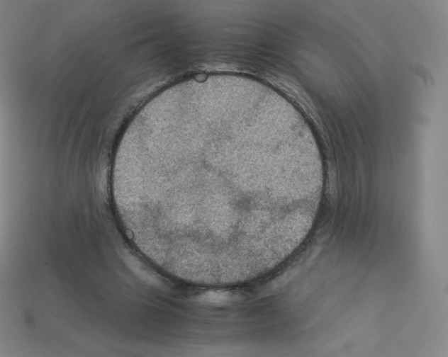 X0000113110441200910091203