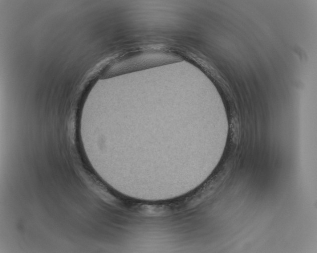 X0000113110442200910091203