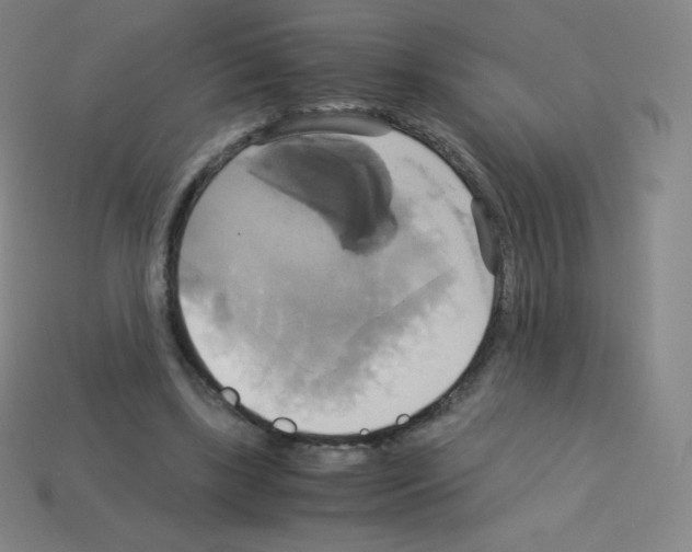 X0000113110443200910091203