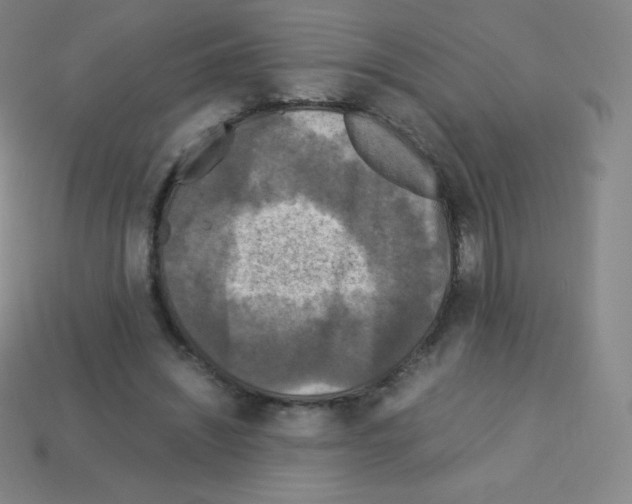 X0000113110444200910091203