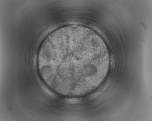 X0000113110445200910091203