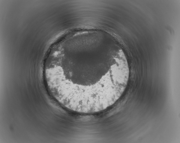 X0000113110446200910091203