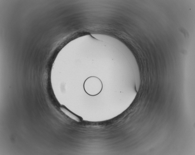 X0000113110448200910091203