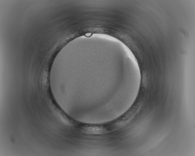 X0000113110449200910091203