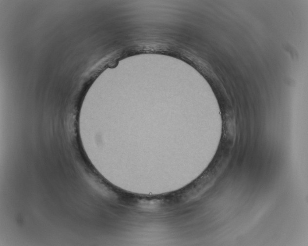 X0000113110450200910091203