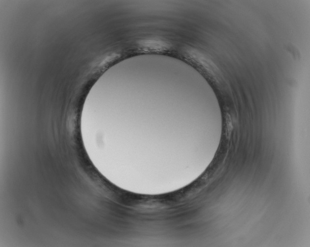 X0000113110451200910091203