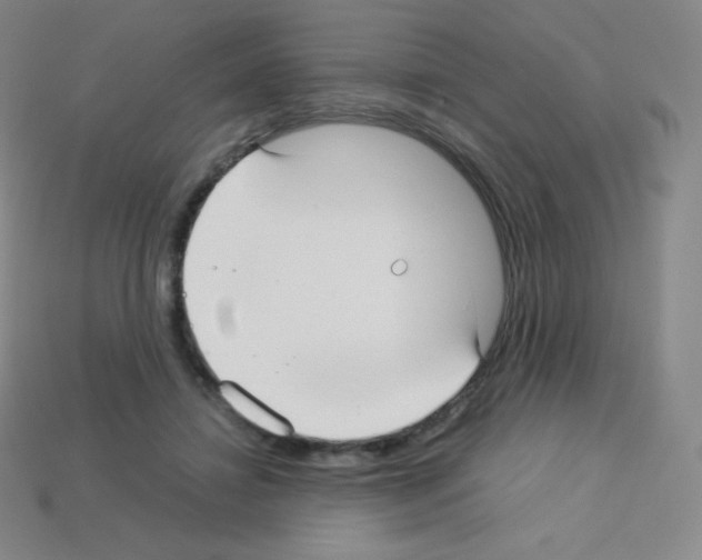 X0000113110452200910091203