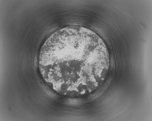 X0000113110453200910091203
