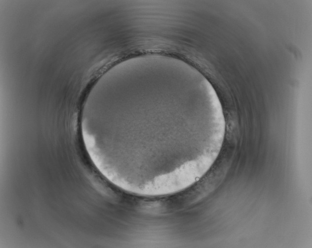 X0000113110454200910091203
