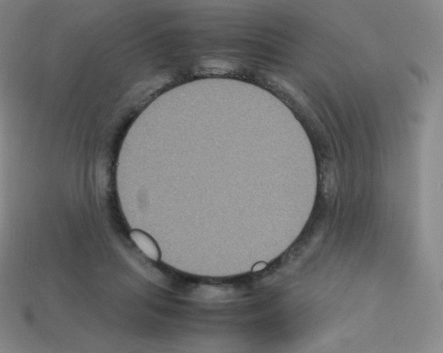 X0000113110455200910091203