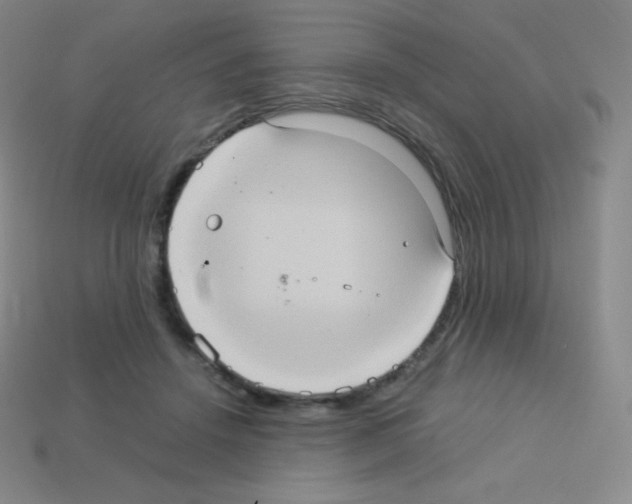 X0000113110456200910091203