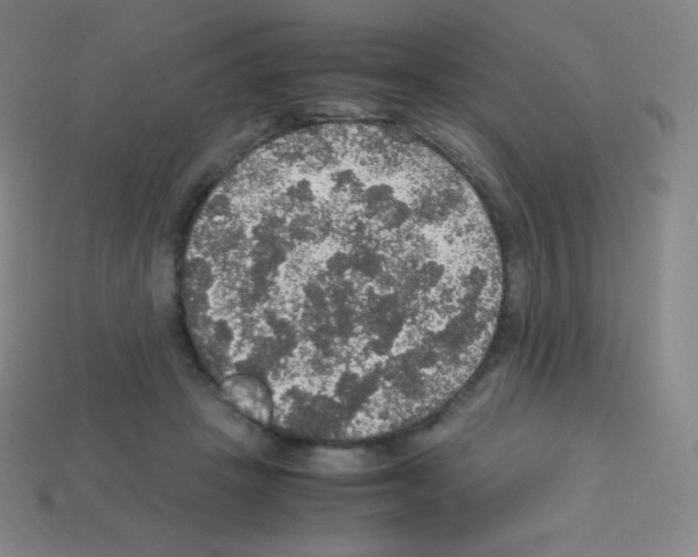 X0000113110457200910091203