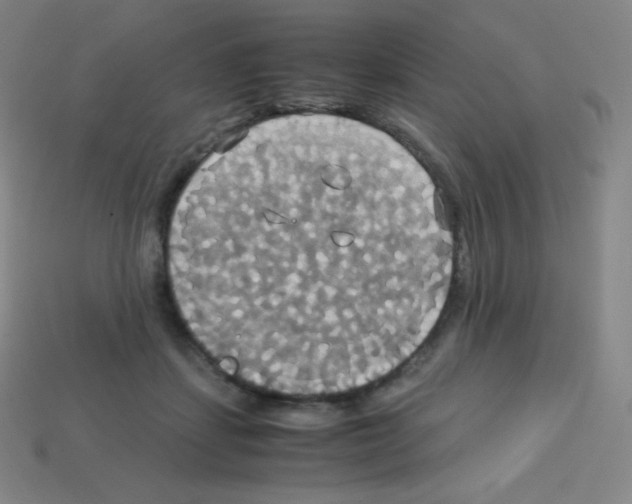 X0000113110459200910091203