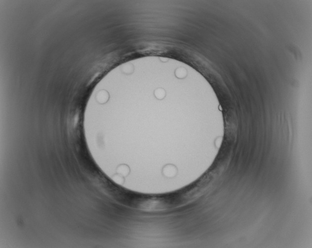 X0000113110460200910091203