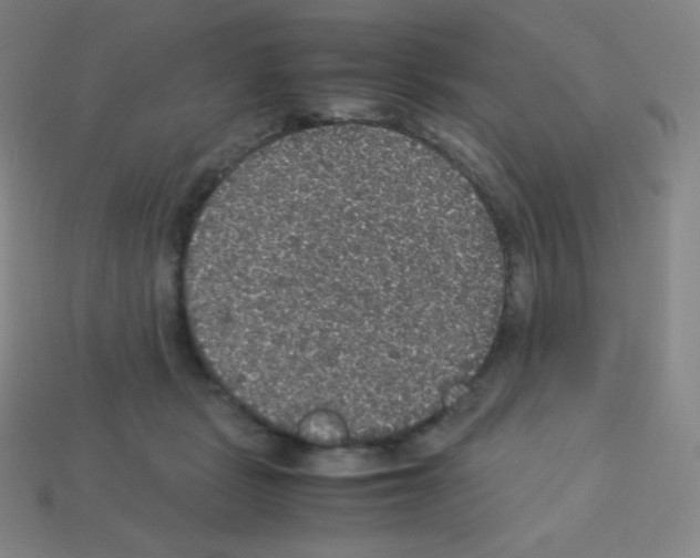 X0000113110461200910091203