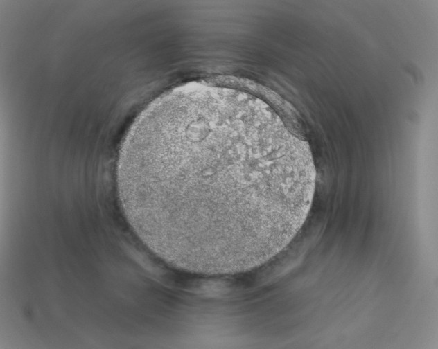 X0000113110462200910091203