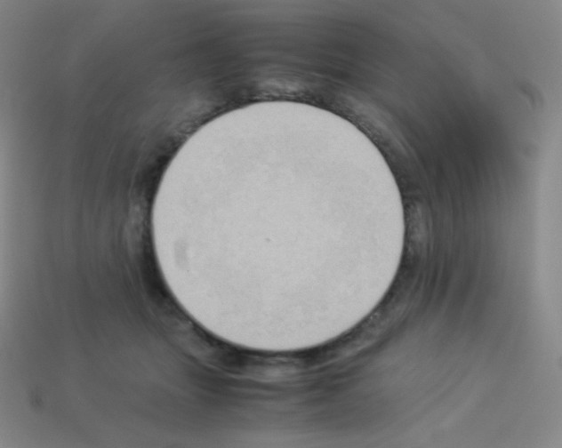 X0000113110463200910091203