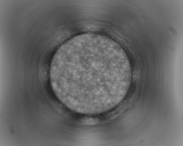 X0000113110464200910091203