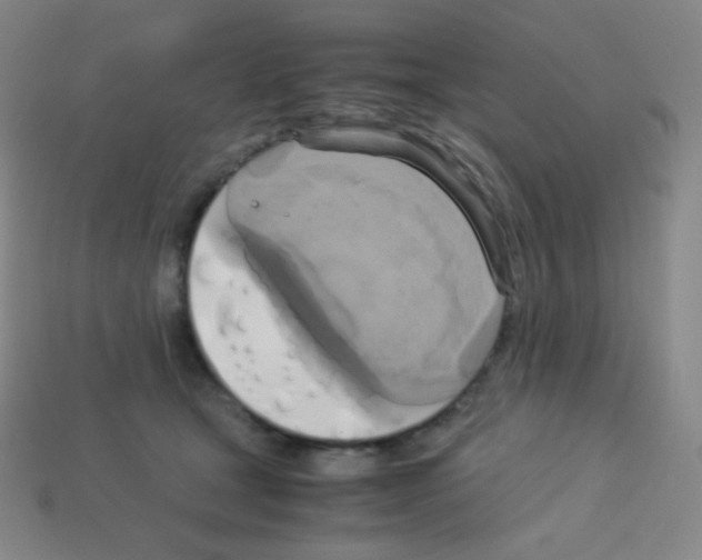 X0000113110465200910091203