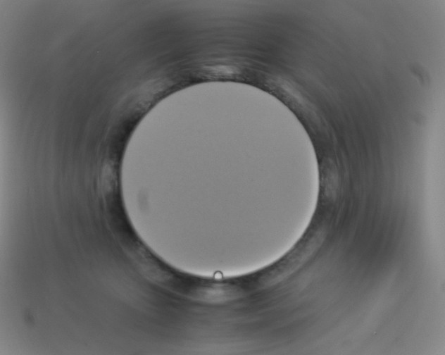 X0000113110467200910091203