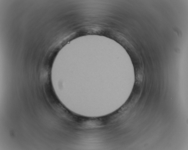 X0000113110468200910091203