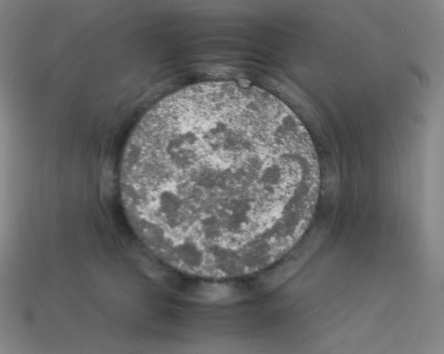 X0000113110469200910091203