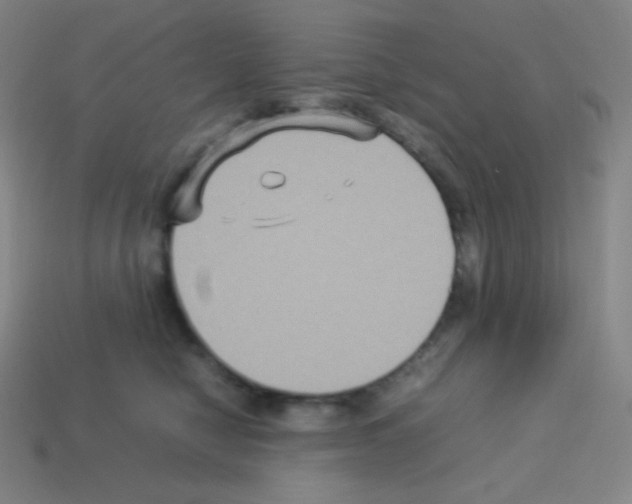 X0000113110470200910091203