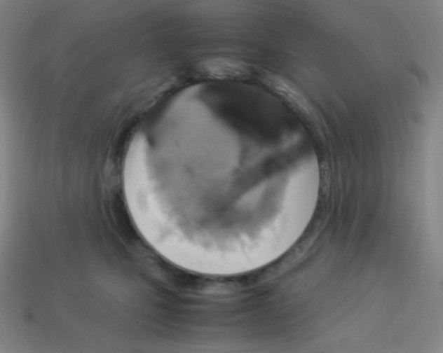 X0000113110471200910091203