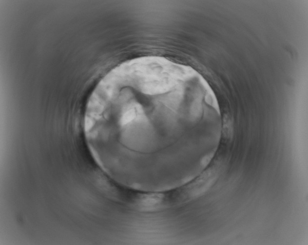 X0000113110474200910091203