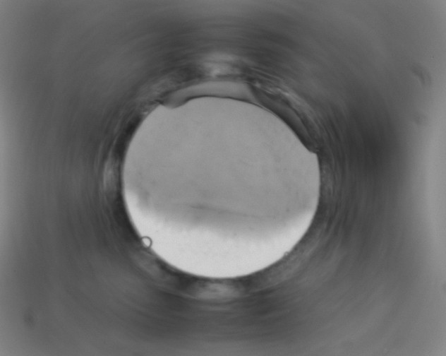 X0000113110475200910091203