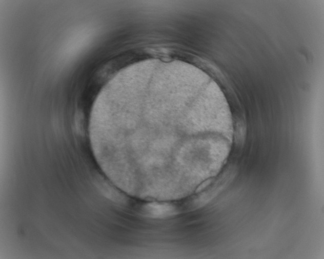 X0000113110477200910091203