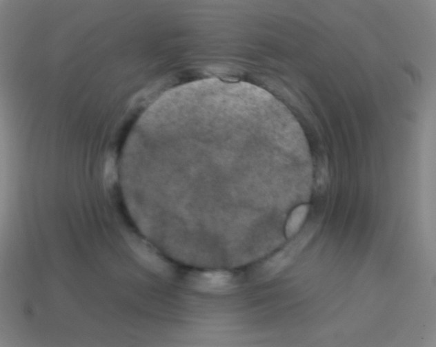 X0000113110478200910091203